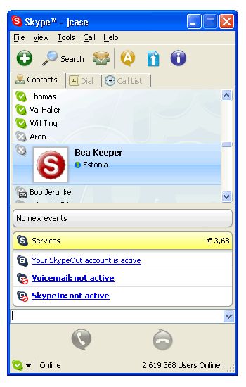 Skype Window