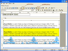 RichView in ReportBuilder
